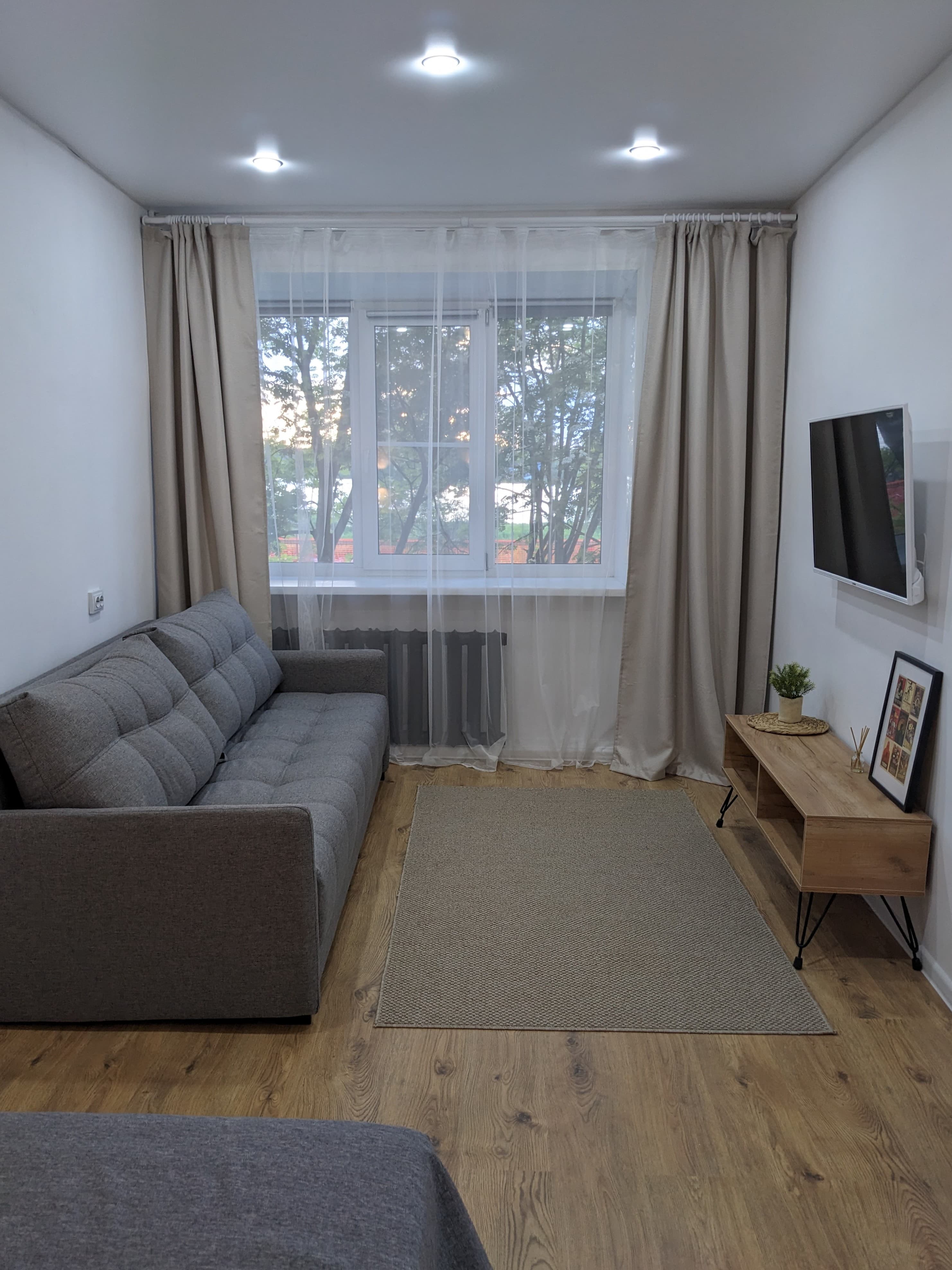 Главная комната квартиры с кроватью, диваном и телевизором