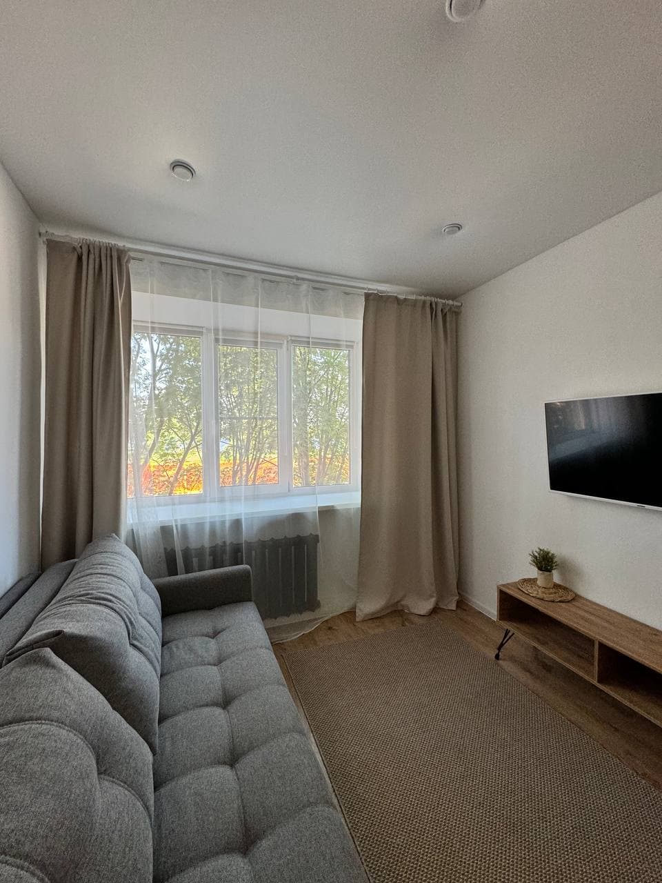 Гостиная с диваном, ковром, телевизором и видом из окна на реку